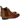 Xenia 1