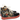 Maxima 1